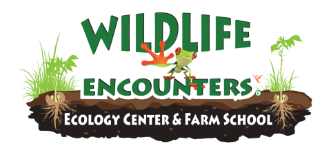 Wildlife Encounters logo, featuring a green tree frog and green plants in soil