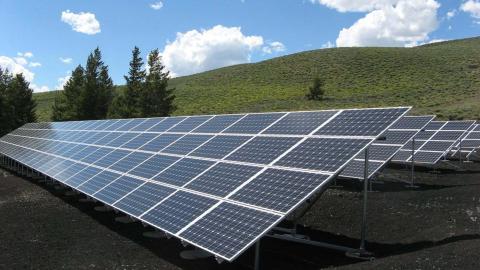 large solar panels lined up in a field with green rolling hills and pine trees in the background