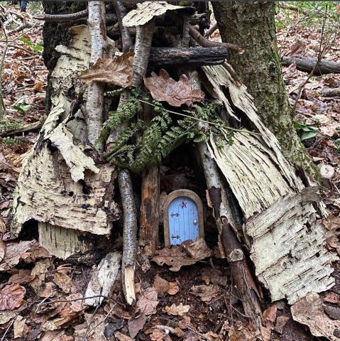 A fairy house made out of natural materials like birch bark, moss, and sticks, with a manufactured small blue door added to the front.