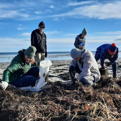 Five volunteers in warm clothing work on picking up trash and debris along a beach under thinly cloudy blue skies.