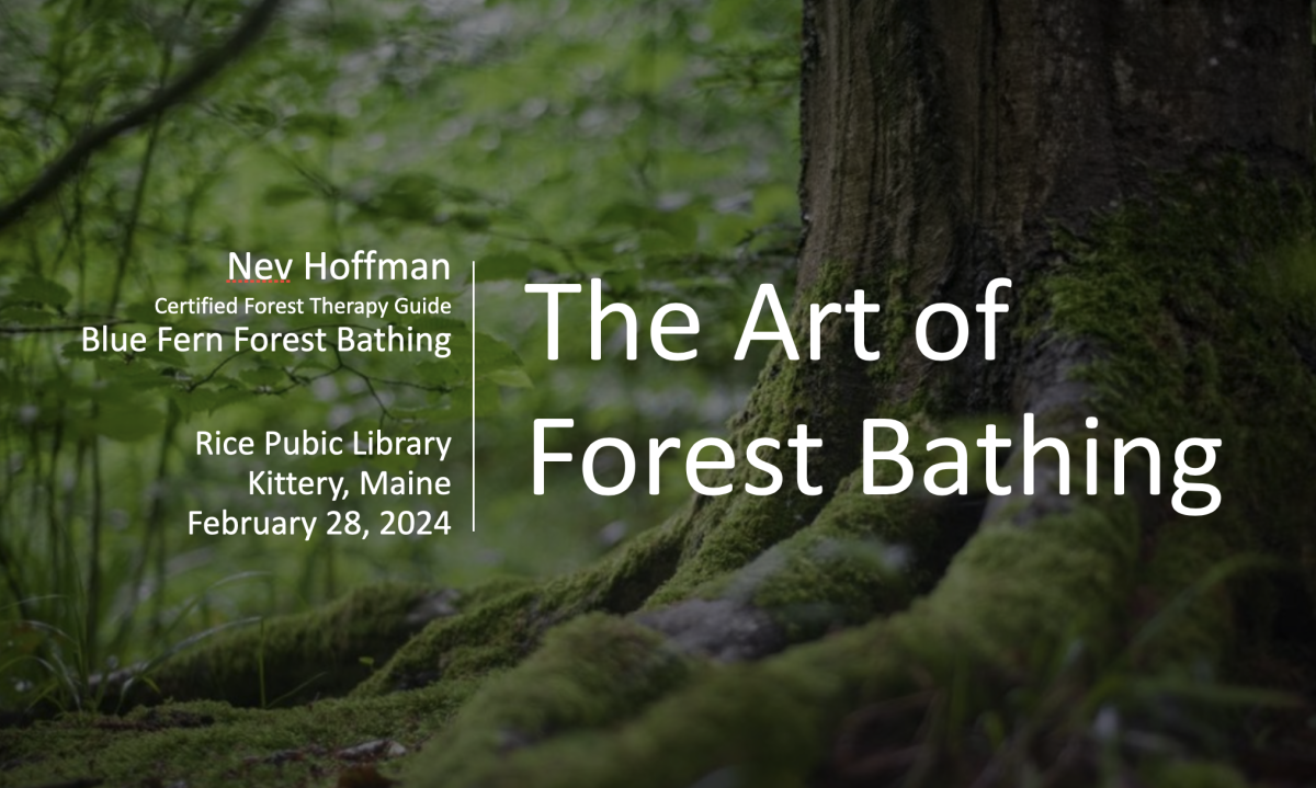 "The Art of Forest Bathing" is in white lettering against a verdant background.